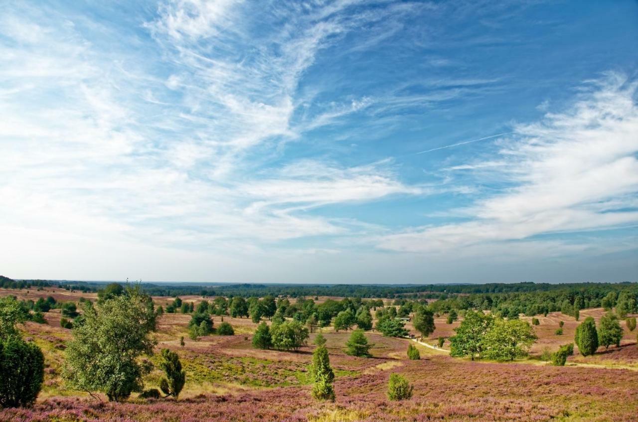 Ferienwohnungen Schaeferfeld Lüneburg Екстериор снимка